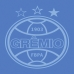 Toalha Social Academia e Mão Buettner Jacquard Veludo Futebol Grémio 33cmx50cm Azul Celeste