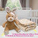 Manta e Bichinho Pelúcia Buettner Baby Microfibra Rabbit com Touca Bege
