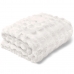 Manta Buettner Queen Microfibra 100% Poliéster Flannel Aspen 2,40mx2,60m Branco