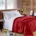Edredom Buettner Queen Plush Flannel 100% Poliéster Dupla Face 240mx260m Vermelho Escuro & Vermelho Claro